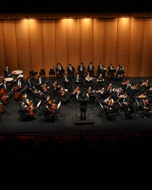 Curtis Chamber Orchestra Phoenix