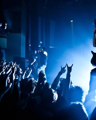 Savage Hands Phoenix