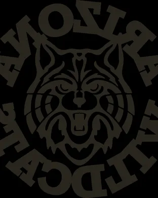 Arizona Wildcats Phoenix
