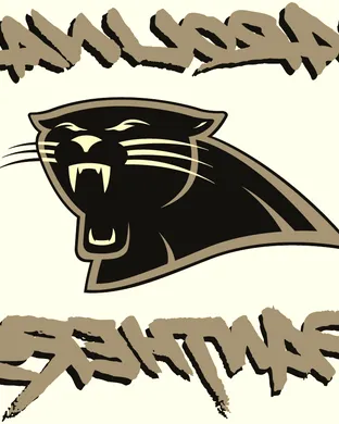 Carolina Panthers Tempe