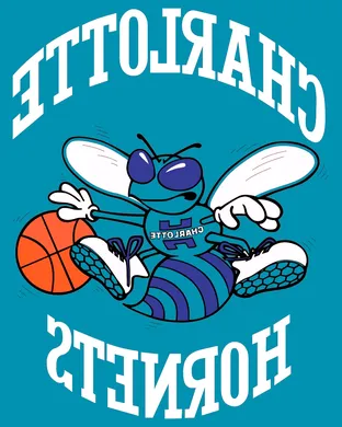 Charlotte Hornets Tempe