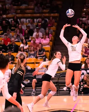 Colorado Buffaloes Women's Volleyball Tempe