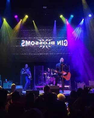 Gin Blossoms Phoenix