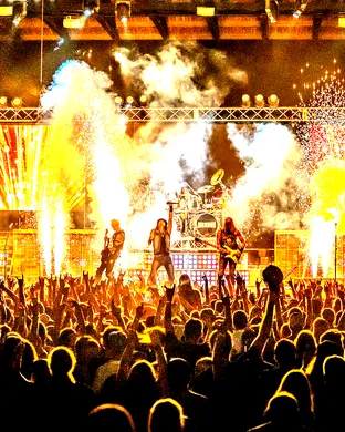 Hairball Tempe