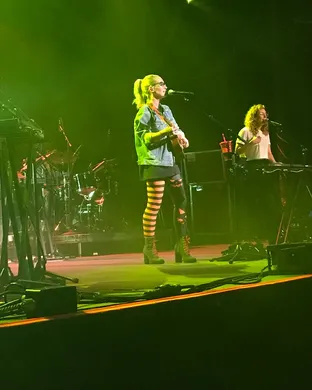 Ingrid Michaelson Mesa