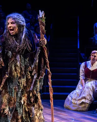 Into The Woods Phoenix