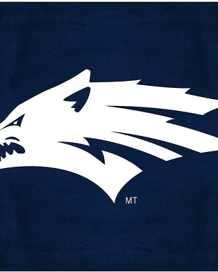 Nevada Wolf Pack Phoenix