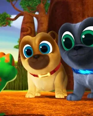 Puppy Pals Tempe