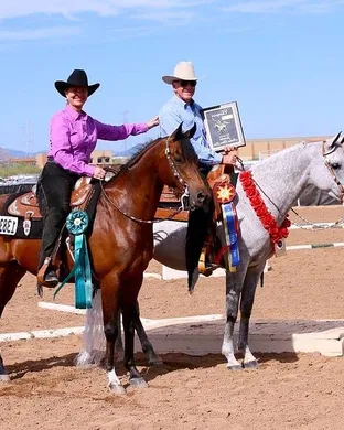 Scottsdale Arabian Horse Show Scottsdale