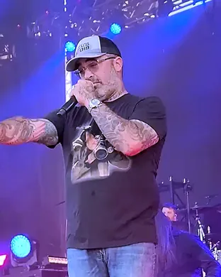 Staind Phoenix