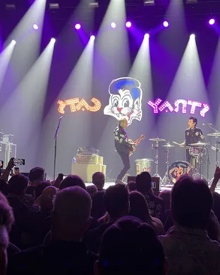 Stray Cats Phoenix