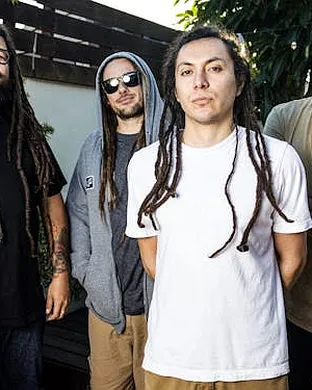 Tribal Seeds Phoenix