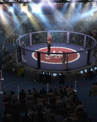 RUF MMA Phoenix