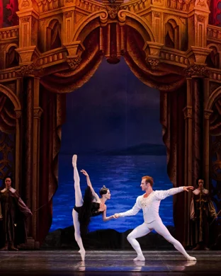 Swan Lake - Symphony of Lights Phoenix